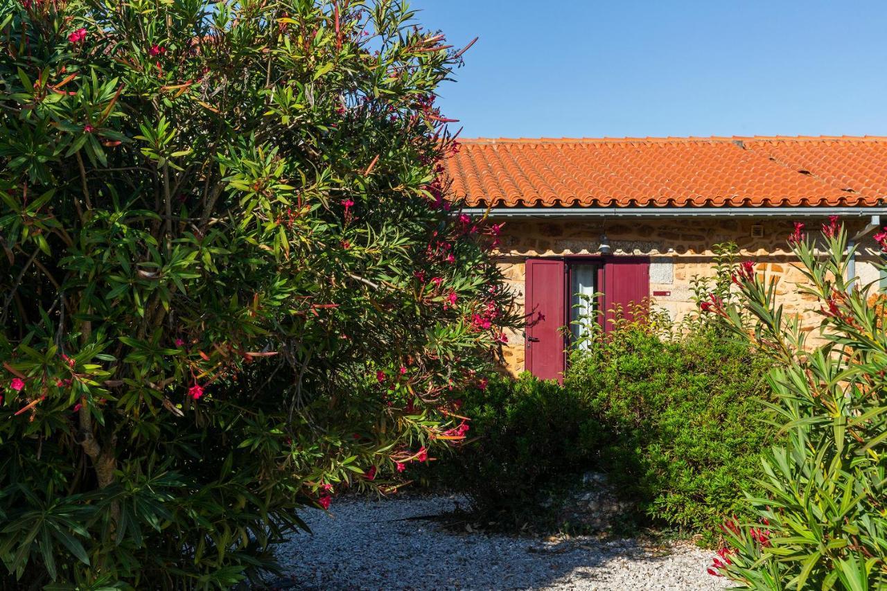 Villa Quinta Do Chao Da Vinha à Carragozela Extérieur photo