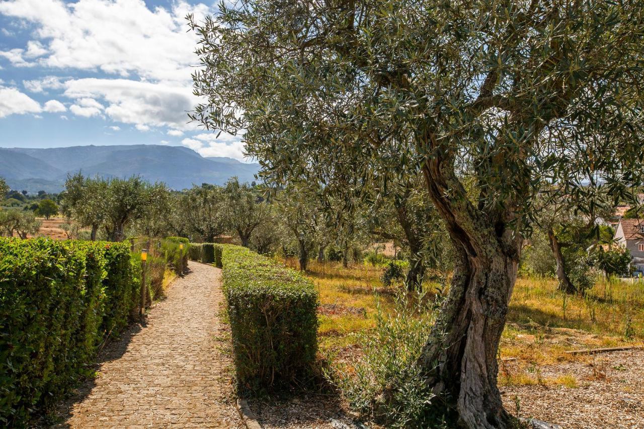 Villa Quinta Do Chao Da Vinha à Carragozela Extérieur photo